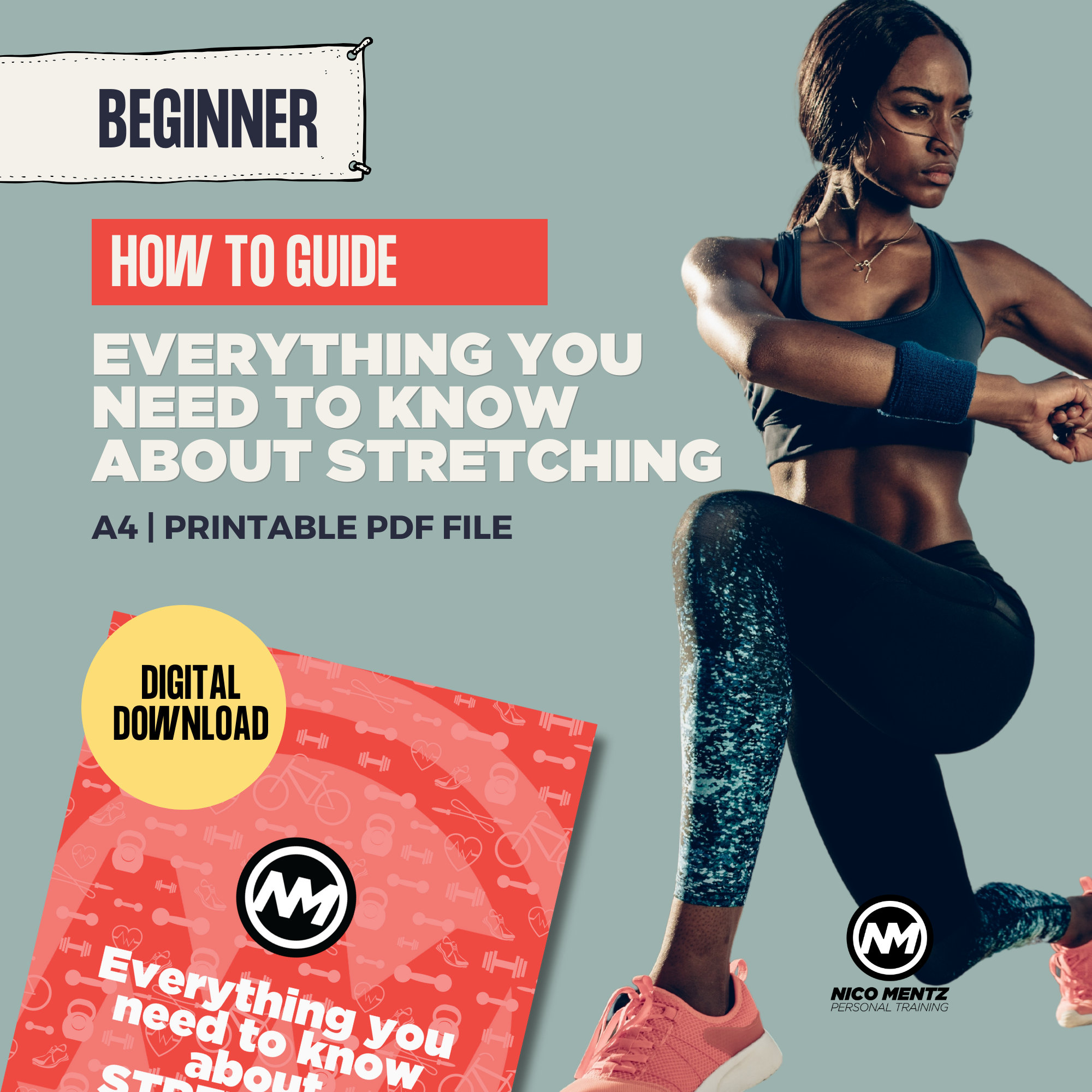 Free Beginner Fitness Guide  Everything You Need To Know About