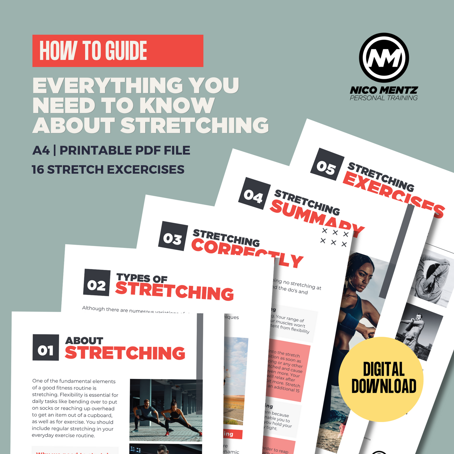 Free  Beginner Fitness Guide | Everything You Need To Know About Stretching | Digital Download | PDF | Exercises